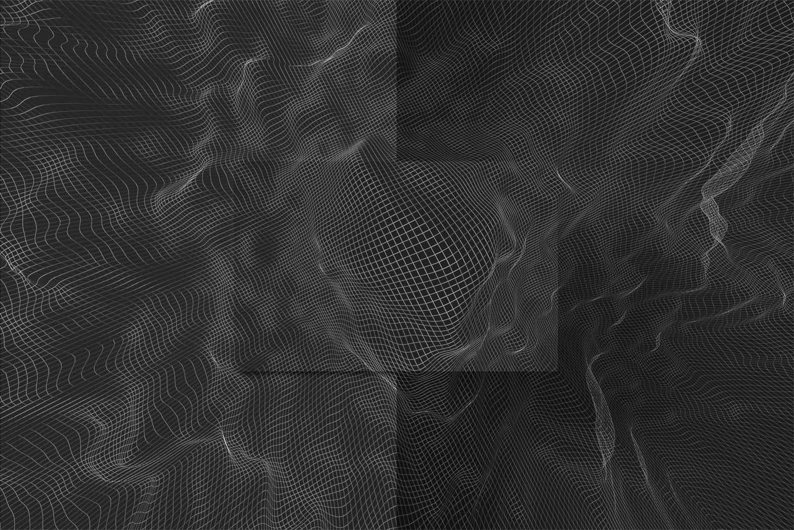 Funky Porcupine fine art photographer